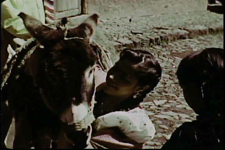 Donkey Show Tijuana Video